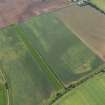 Oblique aerial view of the cropmarks of the settlement and possible field boundary, taken from the WNW.