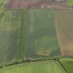 Oblique aerial view of the cropmarks of the settlement and possible field boundary, taken from the W.