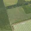 Oblique aerial view of the cropmarks of the barrow, field boundaries and pits, taken from the S.