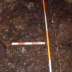 Trench 17 from N, surface of C17.06 (Scales = 2m & 0.5m)
