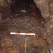 Trench 17, paved floor in C17.06 and Socketed axe/concretion (0.5m)