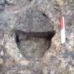 Trench 15 (from above) showing SE facing section through pit feature F15.12 (scale = 0.2m)