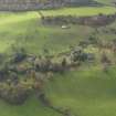 Oblique aerial view centred on the remains of the country house, taken from the NNE.