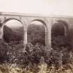 View of Carronbridge viaduct, Dumfriesshire.
