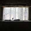 The view out of the opening in a pillbox in Lossie Forest