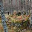 The remains of a township possibly associated with the illicit whisky still at Dog Falls.