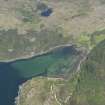 General oblique aerial view of the head of Loch Reraig centred on the fish trap, taken from the S.