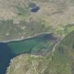 General oblique aerial view of the head of Loch Reraig centered on the fish trap, taken from the S.