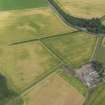 Oblique aerial view of the cropmarks of the rig and barrow, taken from the S.