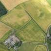 Oblique aerial view of the cropmarks of the rig and barrow, taken from the SE.