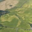 Oblique aerial view of the cropmarks of the round houses, taken from the ENE.