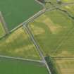 Oblique aerial view of the cropmarks of the enclosures, taken from the S.