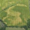 Oblique aerial view of the cropmarks of the round houses, taken from the S.