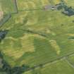 General oblique aerial view of the cropmarks of the round houses and other cropmarks, taken from the S.