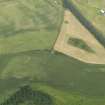 Oblique aerial view of the cropmarks, taken from the S.