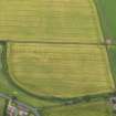 Oblique aerial view of the cropmarks of the rig, taken from the SSE.