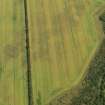 Oblique aerial view of the cropmarks of the possible pits, taken from the SW.