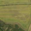 Oblique aerial view of the cropmarks of the possible pits, taken from the SSE.