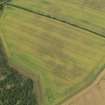 Oblique aerial view of the cropmarks of the possible pits, taken from the SE.