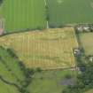 Oblique aerial view of the cropmarks of the unenclosed round houses and the barrow, taken from the SE.