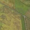 Oblique aerial view of the cropmarks of the barrow, taken from the N.