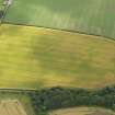 Oblique aerial view of the cropmarks of the settlement, taken from the NW.