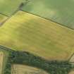 Oblique aerial view of the cropmarks of the settlement, taken from the WNW.