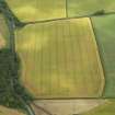 Oblique aerial view of the cropmarks of the settlement, taken from the WSW.