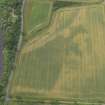 Oblique aerial view of the cropmarks of the enclosure, taken from the NE.