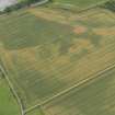 Oblique aerial view of the cropmarks of the enclosure, taken from the N.