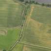 Oblique aerial view of the cropmarks of the enclosure, taken from the NW.