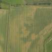 Oblique aerial view of the cropmarks of the enclosure, taken from the WSW.