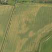Oblique aerial view of the cropmarks of the enclosure, taken from the SW.