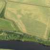Oblique aerial view of the cropmarks of the enclosure, taken from the SE.