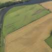 General oblique aerial view of the cropmarks of the enclosures, taken from the S.