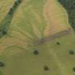Oblique aerial view of the cropmarks of the enclosures and the palaeo-drainage, taken from the E.