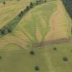 Oblique aerial view of the cropmarks of the enclosures and the palaeo-drainage, taken from the NE.