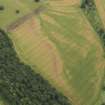 Oblique aerial view of the cropmarks of the enclosures and the palaeo-drainage, taken from the W.