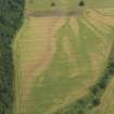 Oblique aerial view of the cropmarks of the enclosures and the palaeo-drainage, taken from the WSW.