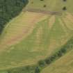 Oblique aerial view of the cropmarks of the enclosures and the palaeo-drainage, taken from the SW.