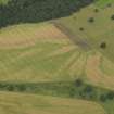 Oblique aerial view of the cropmarks of the enclosures and the palaeo-drainage, taken from the S.
