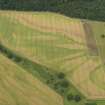 Oblique aerial view of the cropmarks of the enclosures and the palaeo-drainage, taken from the SSE.