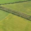 Oblique aerial view of the cropmarks of the rectilinear settlement, taken from the WSW.