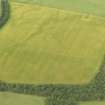 Oblique aerial view of the cropmarks of the rectilinear settlement and the pit alignment, taken from the SSE.