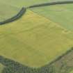 Oblique aerial view of the cropmarks of the rectilinear settlement and the pit alignment, taken from the SE.