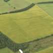 Oblique aerial view of the cropmarks of the rectilinear settlement and the pit alignment, taken from the ESE.