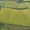 Oblique aerial view of the cropmarks of the rectilinear settlement and the pit alignment, taken from the E.