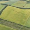 Oblique aerial view of the cropmarks of the rectilinear settlement and the pit alignment, taken from the ENE.