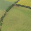 Oblique aerial view of the parchmarks of the fort, taken from the SSE.