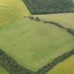 Oblique aerial view of the parchmarks of the fort, taken from the NE.